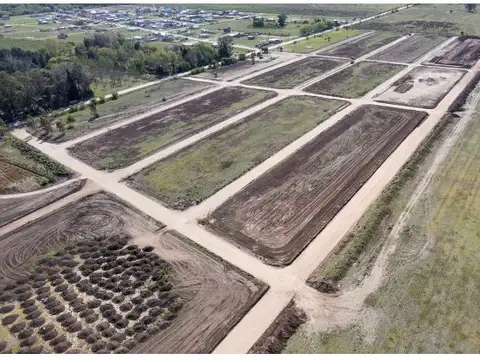 Alfredo Schilla 1000