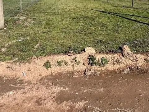 Terreno en Venta de 300,0 m2
