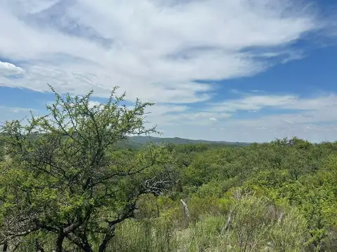 Terreno en Venta de 228142,0 m2
