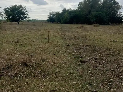 Campo en Venta de 190  ha