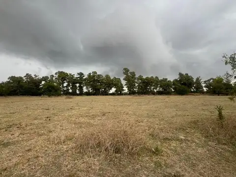 Campo en Venta de 190  ha