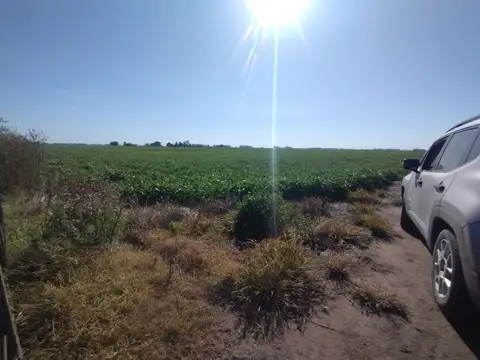 Campo - Venta - Argentina, Veinticinco de Mayo