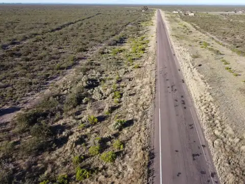 Campo en venta en Mendoza
