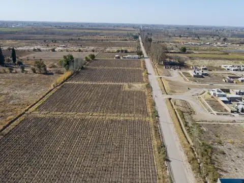 Campo en venta en Mendoza