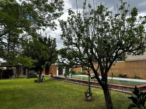 Sara Maqueda al 6900