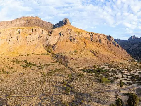 Terreno en Venta de 60000,0 m2