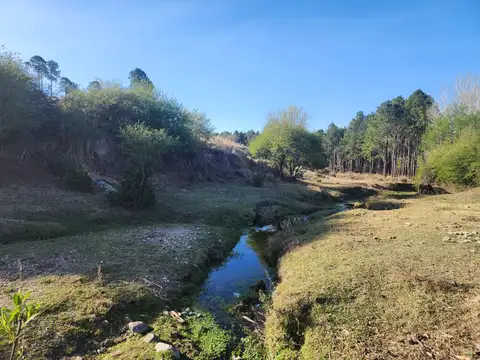 Terreno en Venta 45  mts Fondo