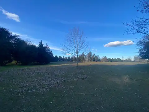 Terreno en Venta de 1000,0 m2