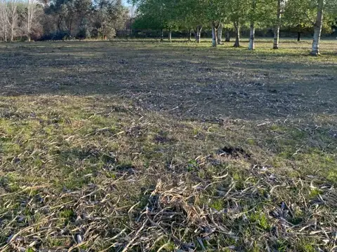 Terreno en Venta de 1000,0 m2