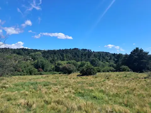 Terreno en Venta de 38800,0 m2