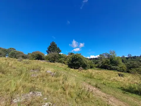 Terreno en Venta de 38800,0 m2