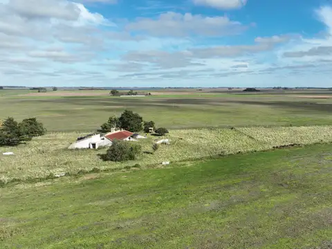 Campo en Venta de 113  ha