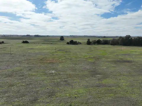 113 Has. Campo agrícolo ganadero en Chascosmús