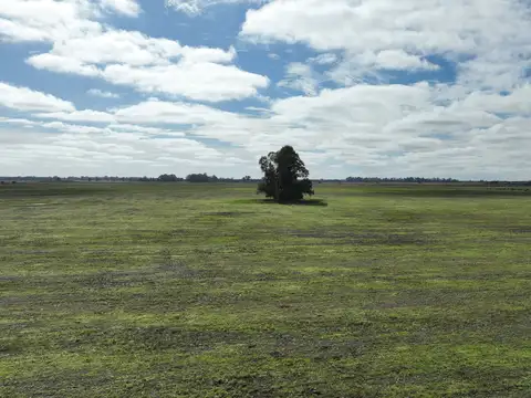 Campo en Venta Mixto