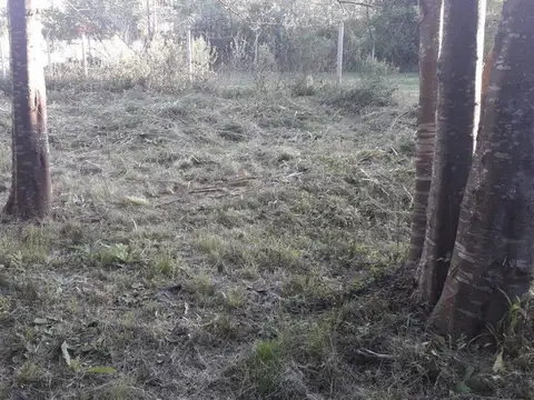 TERRENO EXCELENTE UBICACION