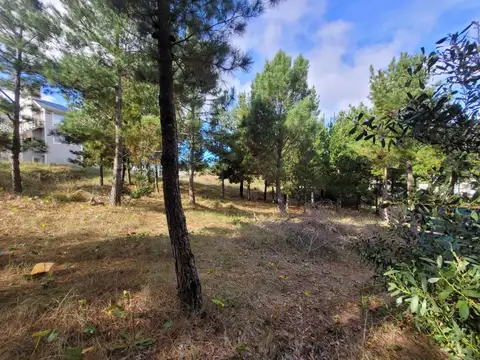 Terreno en Venta en Barrio Ecuestre, USD 40.000