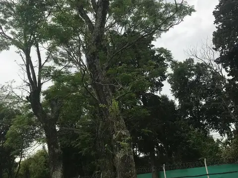 Terreno en Venta en Countries y Barrios Cerrados en Tigre, USD 83.000