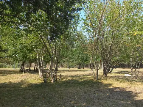 OPORTUNIDAD LOTE EN VENTA BARRIO PRIVADO LAS ALONDRAS: 407 ENTRE 19 Y 21 - VILLA ELISA