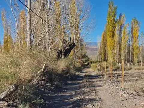 Terreno en Venta en Barreal, USD 19.000