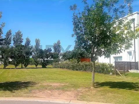 Santa Guadalupe , Piso 0
