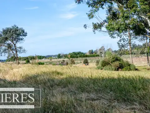 Quinta en Venta en José Ignacio, USD 480.000