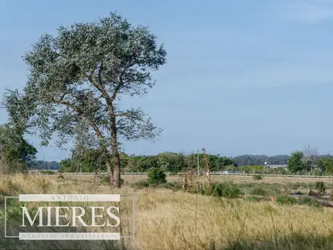 Quinta - Venta - Uruguay, José Ignacio