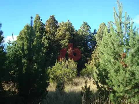 Terreno en Venta en San Carlos De Bariloche, USD 400.000