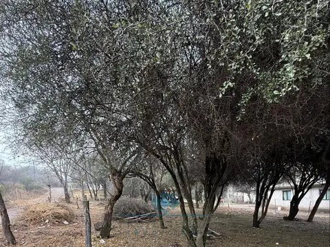 Terreno en Venta en La Granja, USD 12.000