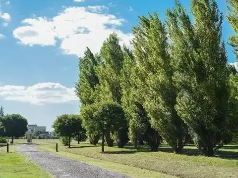 Terreno en Venta de 1200,0 m2