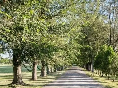 Terreno en Venta 40  mts Fondo