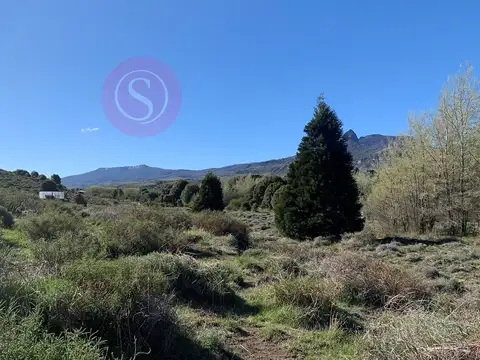 Huechulafquen 100
