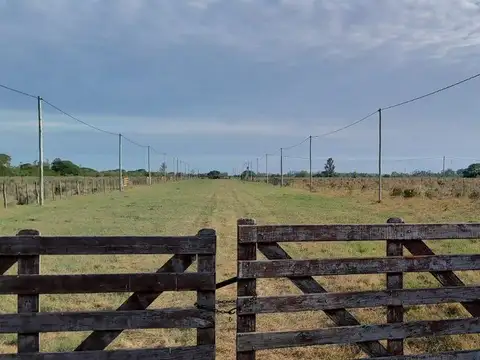 Terreno en Venta en Colonia Carolina, USD 12.500