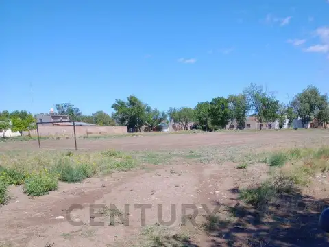 Las Fucseas , Piso 0