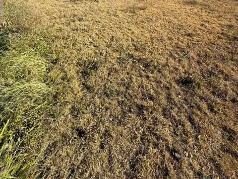 VENTA LOTE COLONIA LAS ROSAS TUNUYAN