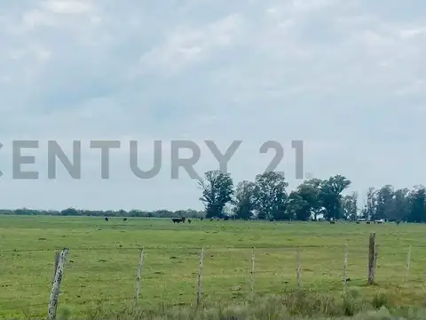 RP 59 , Ferrari , Piso 0