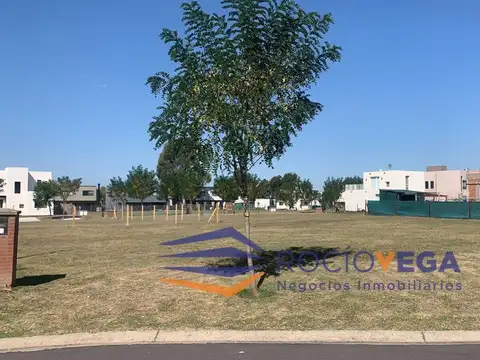 Terreno en Venta 29  mts Fondo