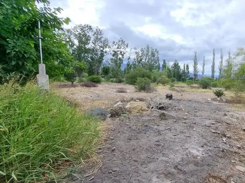 Terreno de 2.988 m2. Quinto Cuartel, Pocito