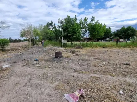 Terreno Quinto Cuartel - Lote 1 100