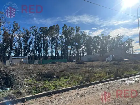 TERRENO LOS EUCALIPTOS