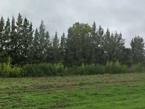 VENTA DE FRACCION DE 2 HECTAREAS SOBRE RUTA 215- CORONEL BRANDSEN