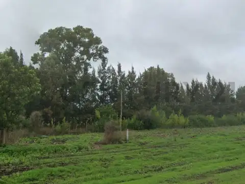 Campo en Venta de 2  ha