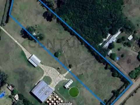 VENTA DE FRACCION DE 2 HECTAREAS SOBRE RUTA 215- CORONEL BRANDSEN