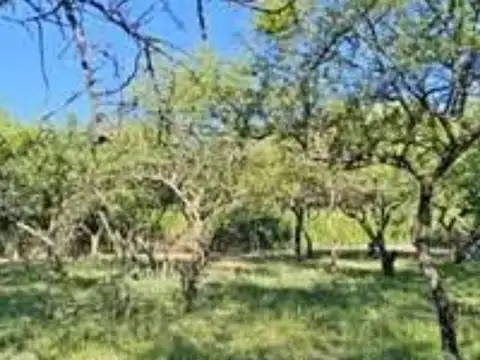 Terreno en Venta de 600,0 m2