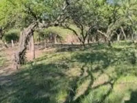 VENTA TERRENO CERRITOS, VILLA LA BOLSA, CORDOBA