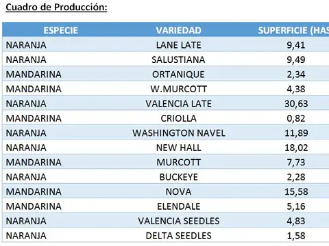 Ruta Prov. N°22 km 20 , Estación Yuquerí