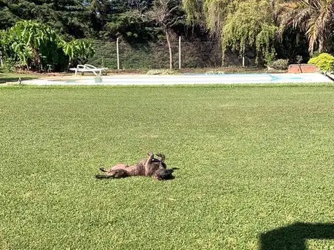 Quinta en Venta al Norte