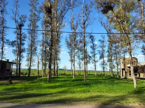Campo Timbó