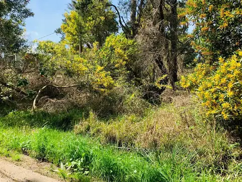 Terreno en Venta de 512,0 m2