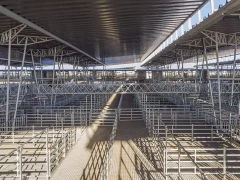 Venta Lote Comercial en Mercado Agroganadero de Cañuelas