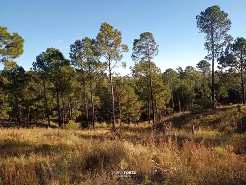 Vendo lote con escritura- Yacanto de Calamuchita